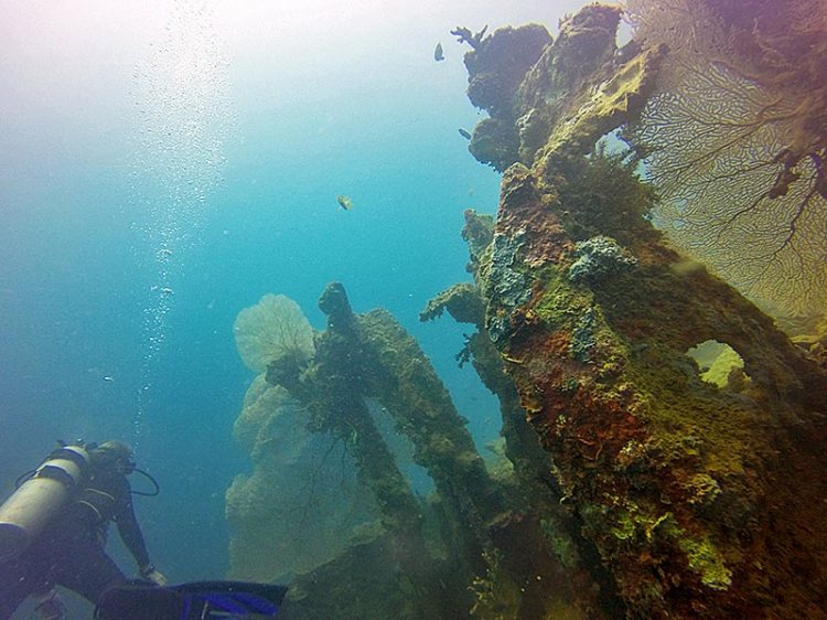 Diving the shallower of the three transport ships at B3, Ruaniu (Courtesy R. Duckworth)